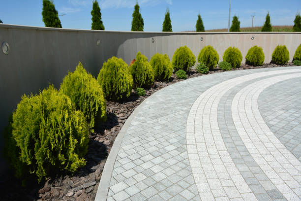 Best Asphalt Driveway Paving in Shawsville, VA