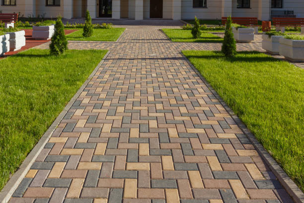 Best Commercial Driveway Paving in Shawsville, VA